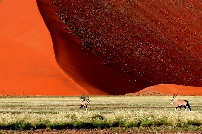 10-Day Namibia Highlights Guided Tour from Windhoek - Day 3: Namib-Naukluft scenery and the Tropic of Capricorn