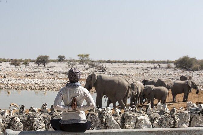 10-Day Private Yoga Adventure in Namibia - Day 5: From Damaraland to Swakopmund