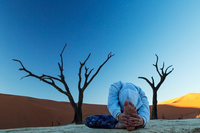 10-Day Private Yoga Adventure in Namibia - Day 9: Spa time and wildlife at Gocheganas