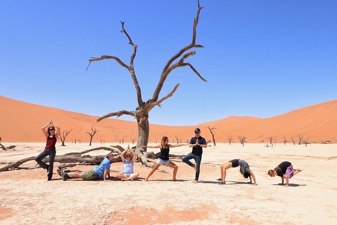 10-Day Private Yoga Adventure in Namibia - Day 10: Airport transfer and the practical finish