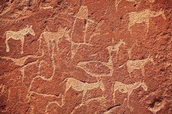 10 DAYS BEAUTY OF NAMIBIA | Guided Lodge - Five Things to Know Before You Go