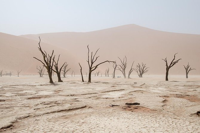 10 DAYS BEAUTY OF NAMIBIA | Guided Lodge - The Big Picture: A Broad Tour of Namibia