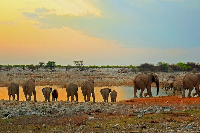 10 DAYS BEAUTY OF NAMIBIA | Guided Lodge - Day 3: Meeting Himba and Damara Communities