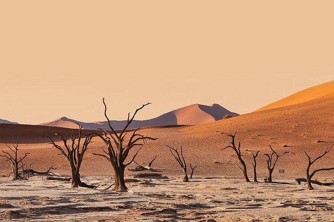 10 DAYS BEAUTY OF NAMIBIA | Guided Lodge - Day 1: Okahandja’s Woodcarver Market