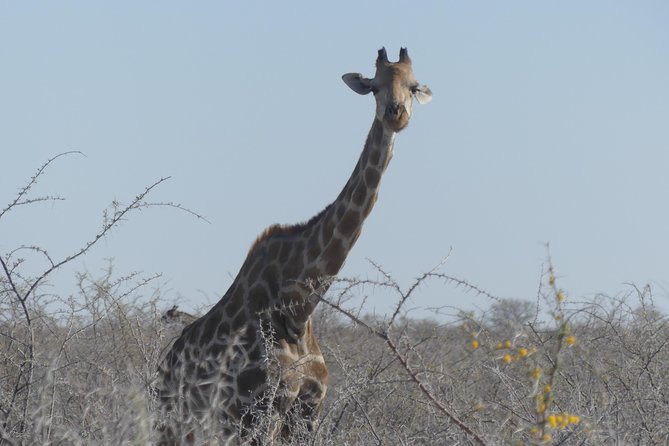 10 Namibia Adventures - Starting in Windhoek at 6:30 am