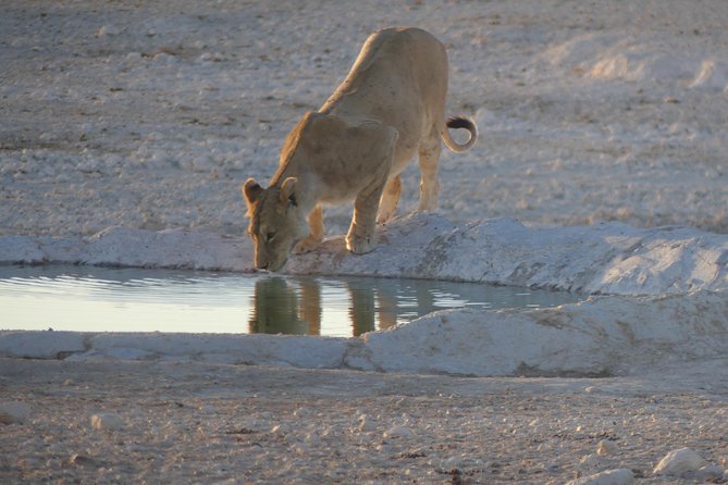 10 Namibia Adventures - Two nights in Namib-Naukluft National Park