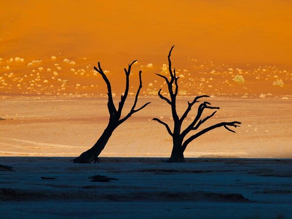 11 Days Small Group Namibia Experience Fully Accommodated Tour - The Namibia highlights packed into 11 days