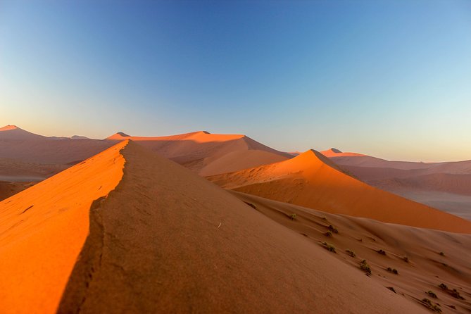 11 Days Small Group Namibia Experience Fully Accommodated Tour - Day 2: Bushmen, village roads and the move west