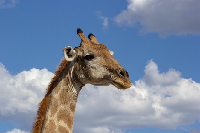11 Days Small Group Namibia Experience Fully Accommodated Tour - Day 4: Across the Tropic of Capricorn to Swakopmund