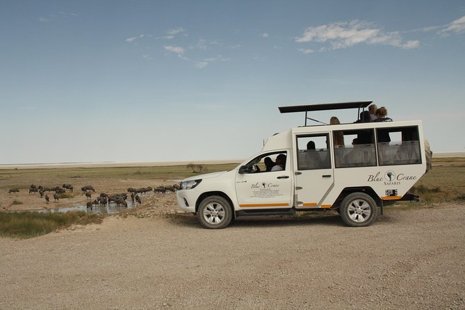11 Days Small Group Namibia Experience Fully Accommodated Tour - Day 7: Twyfelfontein engravings and desert rhino tracking