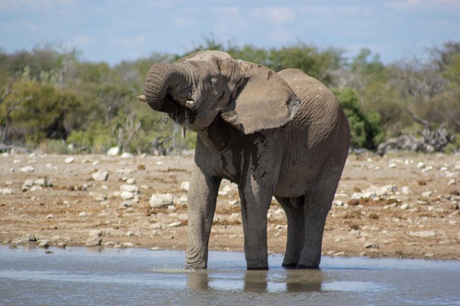 11 Days Small Group Namibia Experience Fully Accommodated Tour - Day 1: Windhoek to the red dunes of Mariental