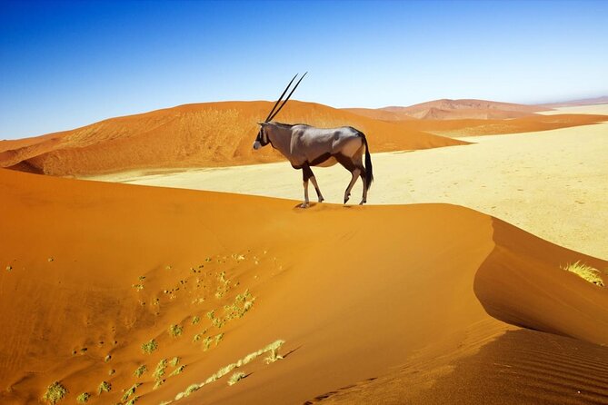 12 Day Classic Namibia Camping Safari - Key reasons to consider this Namibia trip