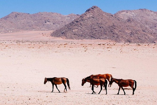 12 Days Tour Namibia In Plus | Self Drive Lodge - Days 7 and 8: The Namib Desert’s biggest views