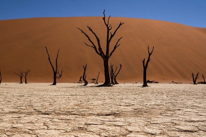 2 Day Scenic Sossusvlei Adventure Tour in Namibia - Moon Landscape and lichen fields near Swakopmund