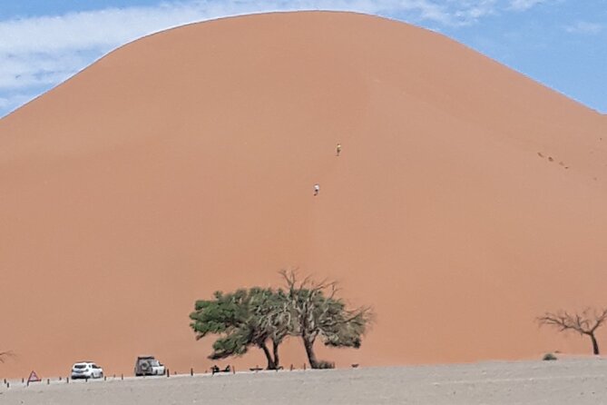 2 Day Scenic Sossusvlei Adventure Tour in Namibia - Welwitschia Plains and Namibia’s geological story