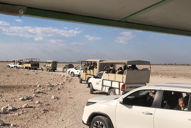 2 Days Etosha Safari Guided Tour - The road to Etosha and the overnight pause