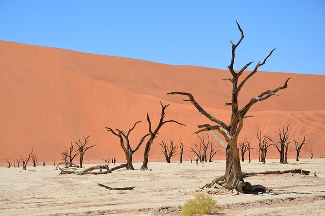 2 Days Guided Tour in Sossusvlei and Sandwich Harbor - Leaving Swakopmund for the Namib Desert
