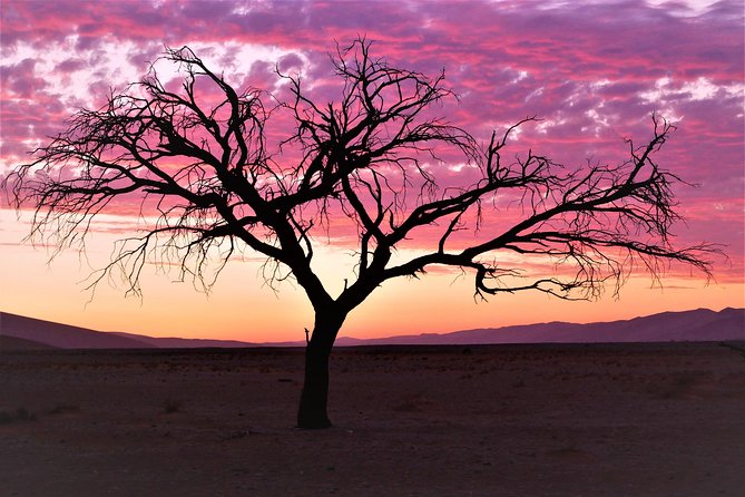 2 Days Sossusvlei Private Camping Tour - Solitaire gives the drive a useful pause