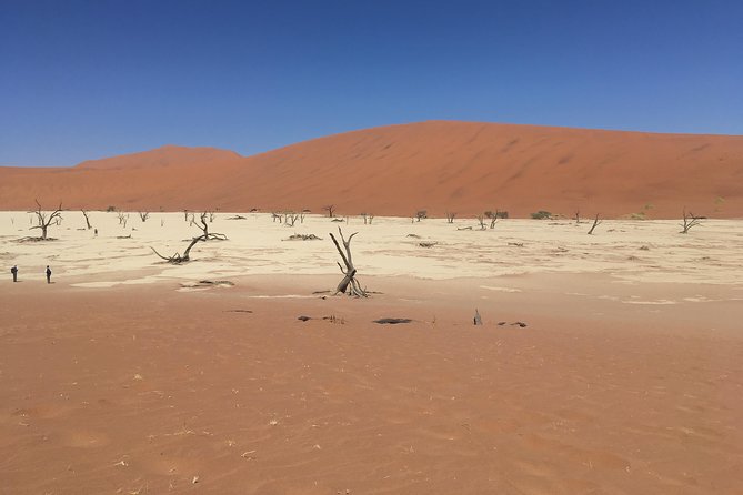 3 Day Camping safari at Sossusvlei - Key points to know before booking