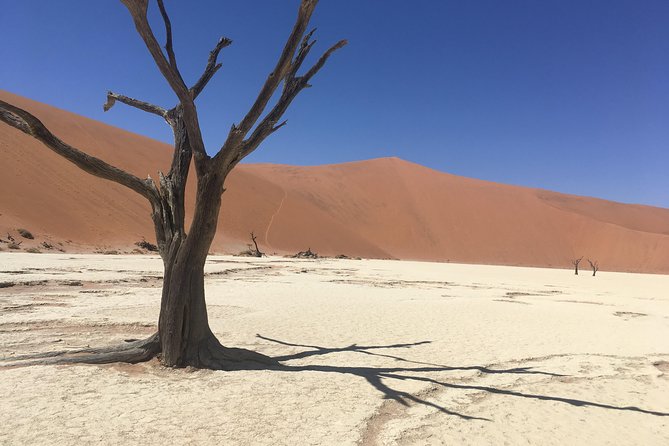 3 Day Camping safari at Sossusvlei - Food, camping, and comfort