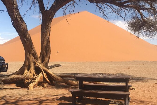3 Day Camping safari at Sossusvlei - Day 3: An early return to Windhoek
