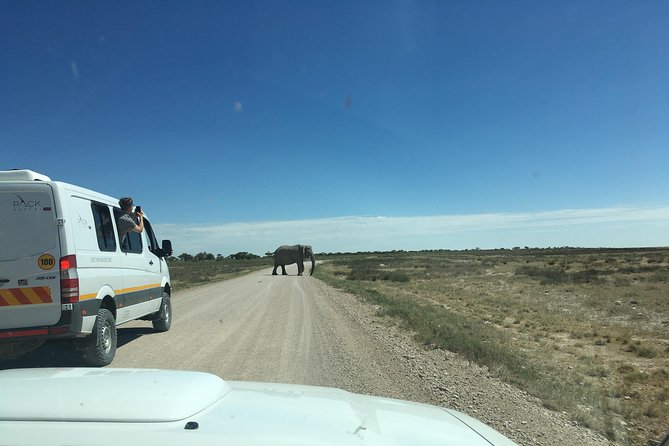 3 Day Camping tour at Etosha National Park - Camping inside Etosha: what to expect