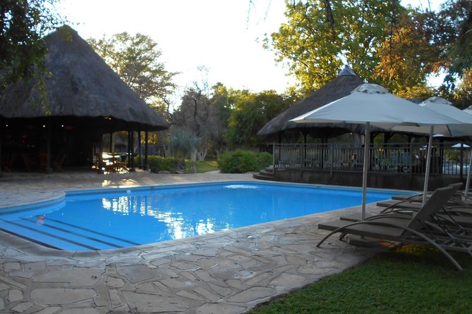 3 Day Camping tour at Etosha National Park - Who should book this three-day safari?