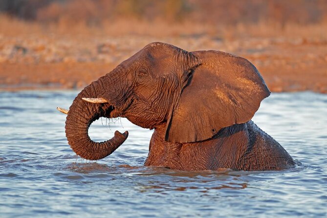 3 Day Etosha Private Guided Safari - The four-hour road from Windhoek to Andersson’s Gate