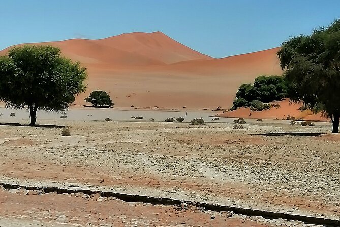 3-Day Scenic Sossusvlei Adventure in Namibia from Swakopmund - Day 2: Deadvlei, Big Daddy, and Sossusvlei