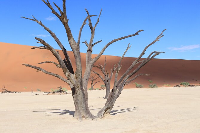 3 Day Sossusvlei Camping Schedule and Sandwich Habor - Day two: Sossusvlei before the heat
