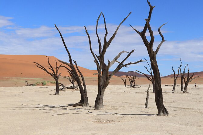 3 Day Sossusvlei Camping Schedule and Sandwich Habor - Meals, camping, and practical value