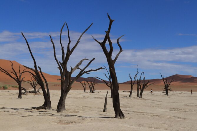 3 Day Sossusvlei Camping Schedule and Sandwich Habor - Day one: driving into the Namib Desert