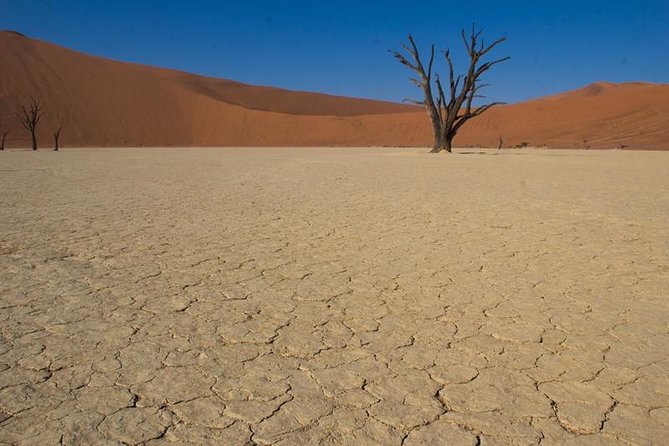 3-Day Sossusvlei Express Accommodated Safari from Swakopmund - Climbing Dune 45