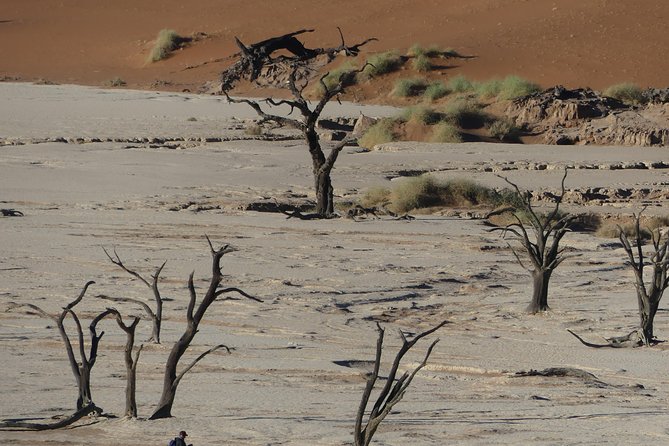 3 Days Amazing Red Dunes of Sossusvlei | Private Guided Tour - Sossusvlei and the desert’s geological story