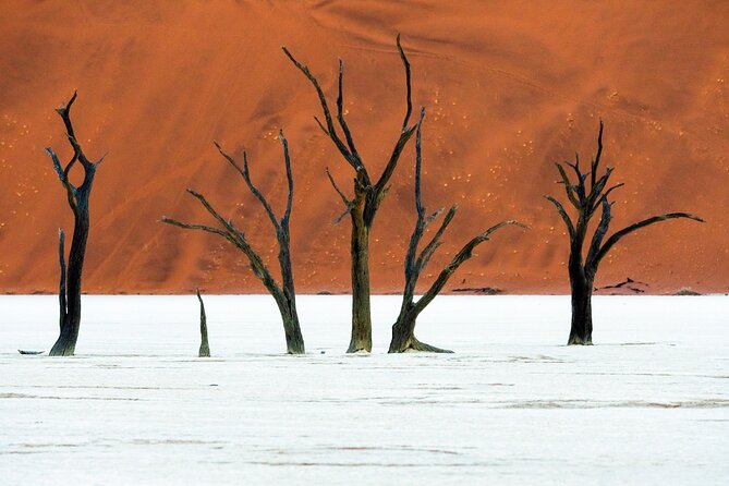 3 Days Amazing Red Dunes of Sossusvlei | Private Guided Tour - Day three: the long return to Windhoek