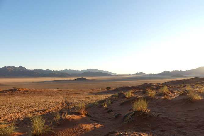 3 Days Amazing Red Dunes of Sossusvlei | Private Guided Tour - Day two: sunrise at Dune 45