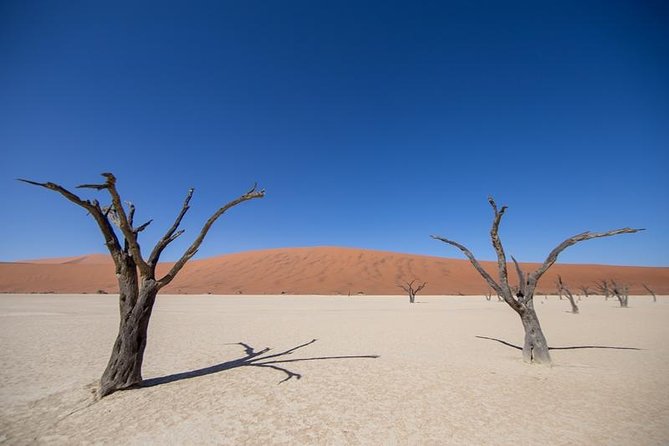 4-Day Swakopmund And Sossusvlei Accommodated Adventure from Windhoek - Guides, group size, and the feel of the trip
