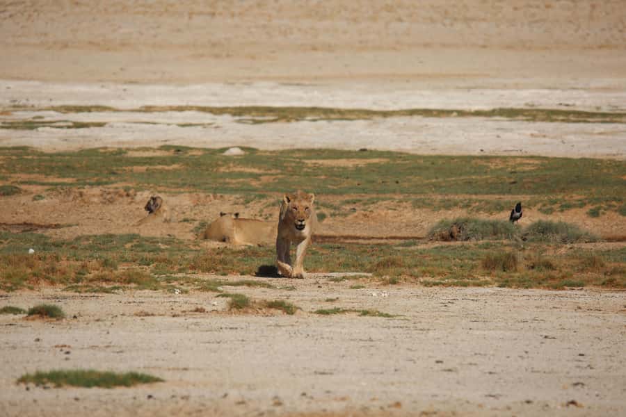 5 days Sossusvlei, Swakopmund and Spitzkoppe Camping - What to pack for the camping conditions