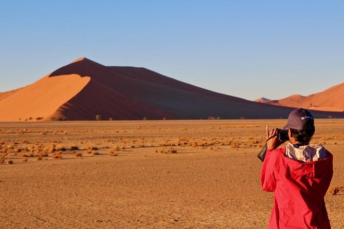 6-Day Dunes and Wildlife Accommodated Safari from Windhoek - The vehicle, group size, meals, and sleeping arrangements