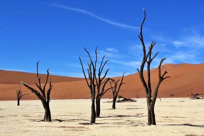 6 Day Private Guided Accommodated Namibian Loop - Day 3: From Etosha through Damaraland to the Atlantic