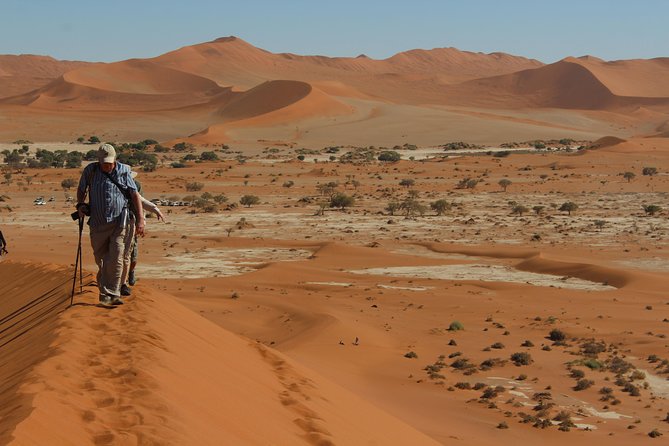 6 Day Private Guided Accommodated Namibian Loop - Day 4: Walvis Bay, desert roads, and the road to Sesriem