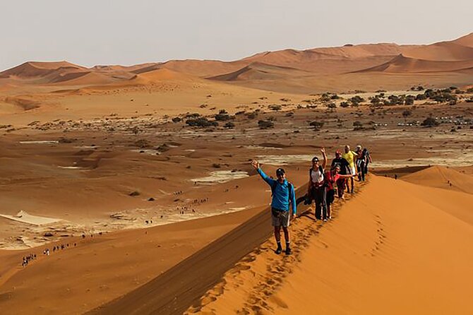 6- Day Wildlife, Oceans & Dunes - A six-day route through Namibia’s big sights