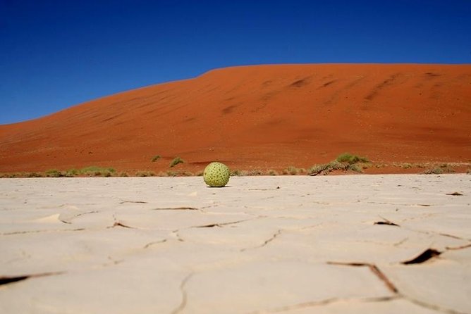7 Day - Kalahari TOP attractions - Kolmanskop, a ghost town in the sand