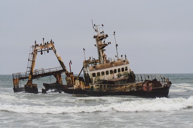 7 Day Northern Namibia and Skeleton Coast Camping Safari - Camping, food, and comfort on the road