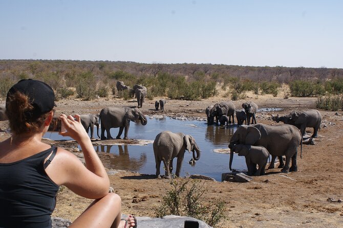 7 Day Northern Namibia and Skeleton Coast Camping Safari - Day 1: Woodcarvers, rhinos, and Mount Etjo