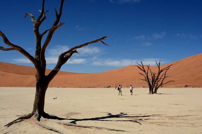 7 Day Southern Namibia and Sossusvlei Camping Safari - Day 4: From Sossusvlei to the Aus Mountains