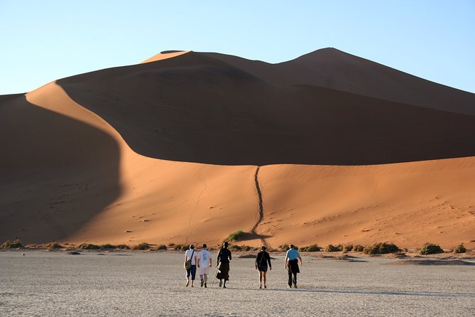 7 Day Southern Namibia and Sossusvlei Camping Safari - Day 7: Quiver trees at sunrise and the long road home
