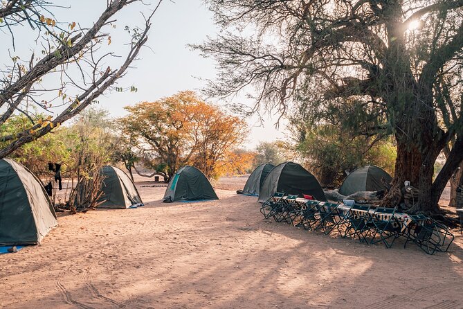 7 Day Taste of Namibia Lodging Safari - Day 7: Cheetahs at Solitaire and the journey back