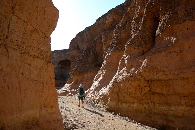9 Day Canyons, Dunes & Wildlife Camping and Lodge Safari - Aus, desert horses, and a night under stars