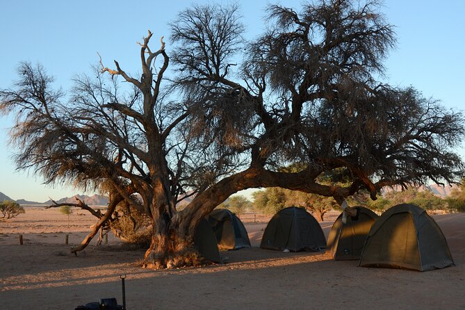 9 Day Canyons, Dunes & Wildlife Camping and Lodge Safari - Damaraland, Himba culture, and the Atlantic coast